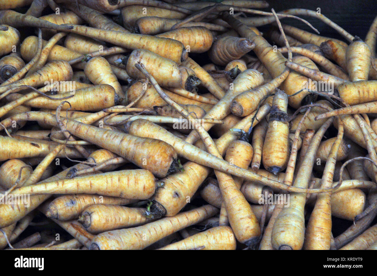A basket full of piccolo parsnips on sale at a stall on London’s