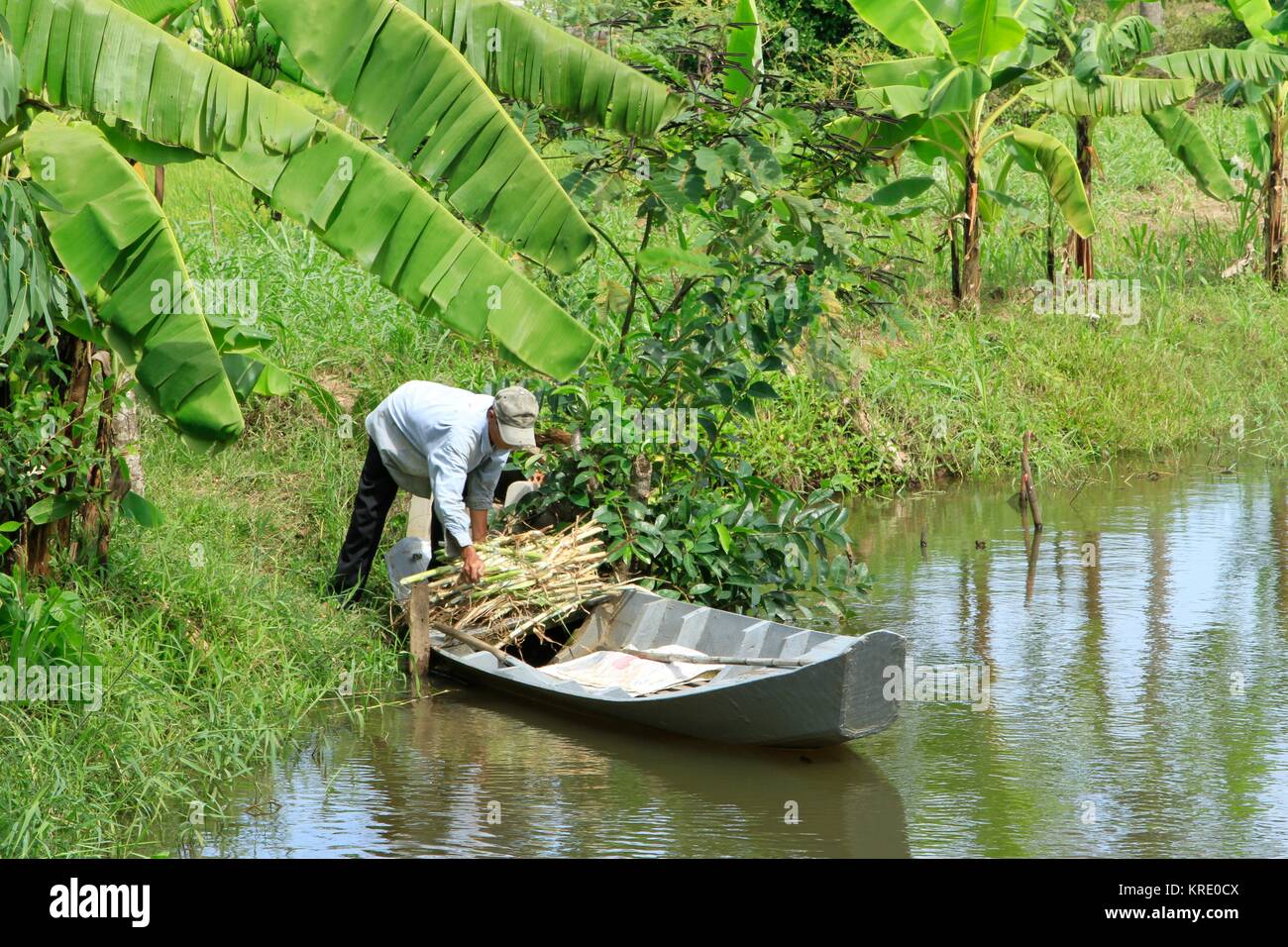 Man loading boat on a Mekong River canal, Mekong Delta, Vietnam Stock ...