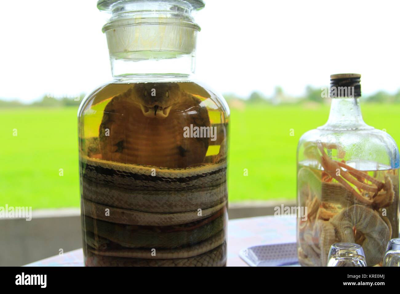 Snake Wine or Mekong Whiskey, Mekong Delta, Vietnam Stock Photo Alamy