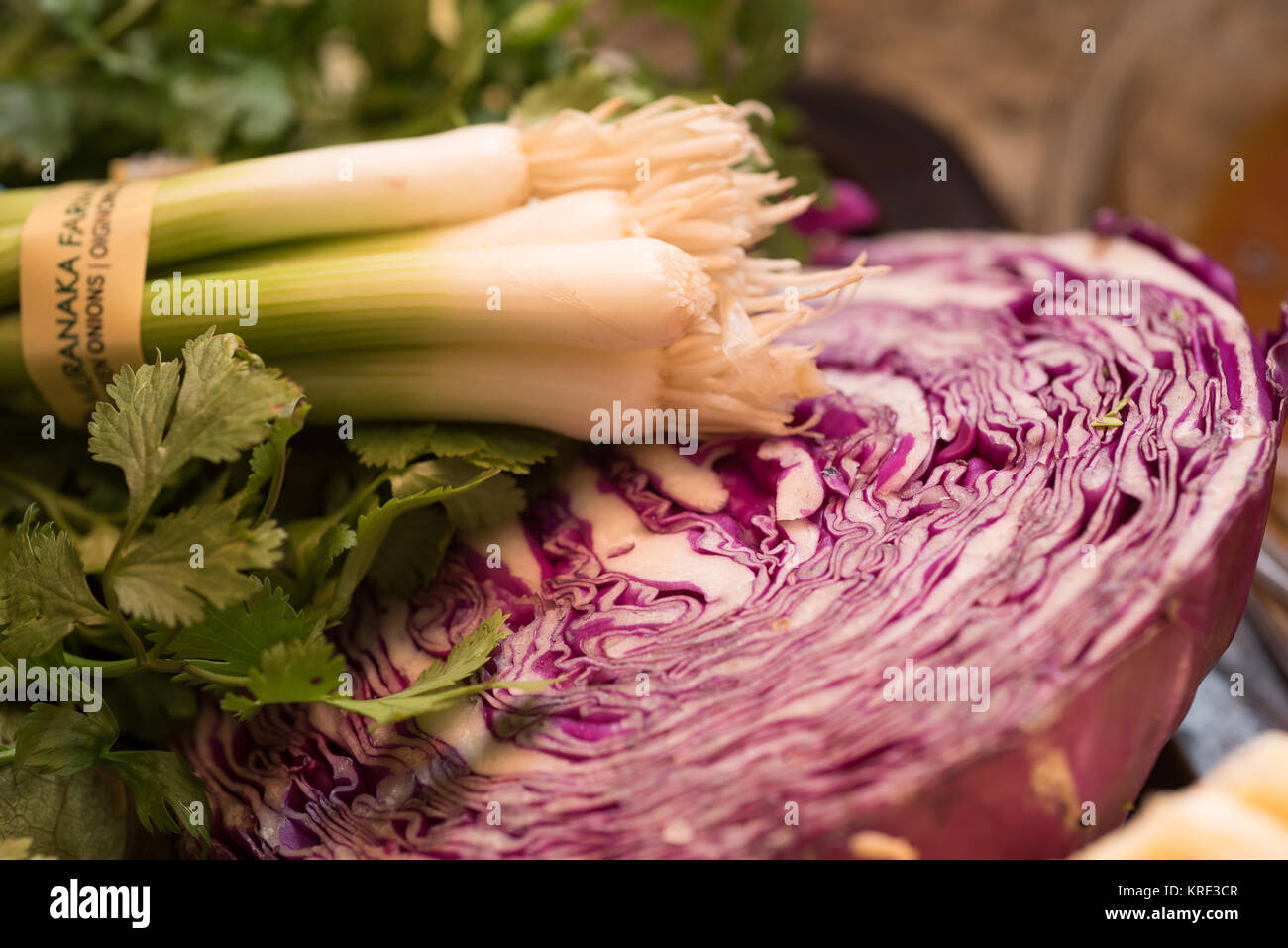 Red cabbage and spring onion Stock Photo Alamy