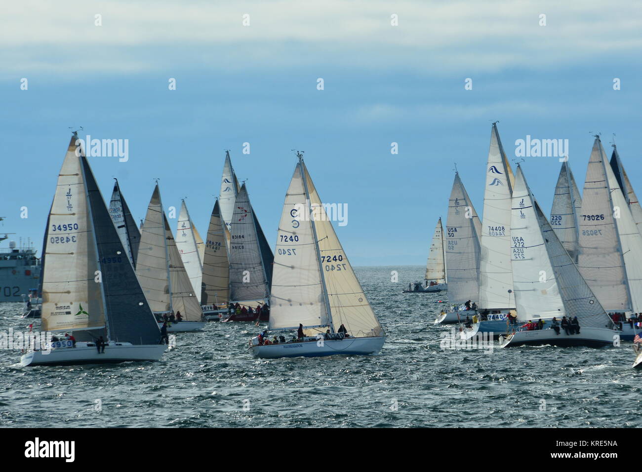 Yachts lined up at the start line for the annual Swiftsure Yacht race