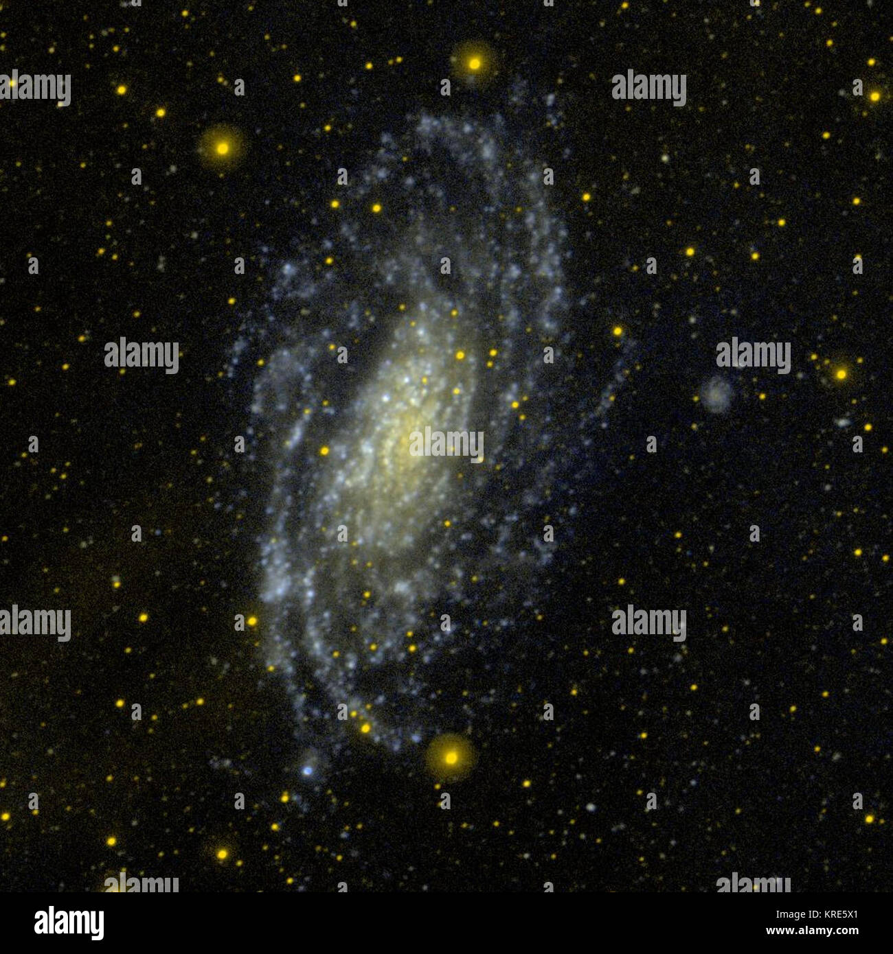 NGC 3621 GALEX WikiSky Stock Photo