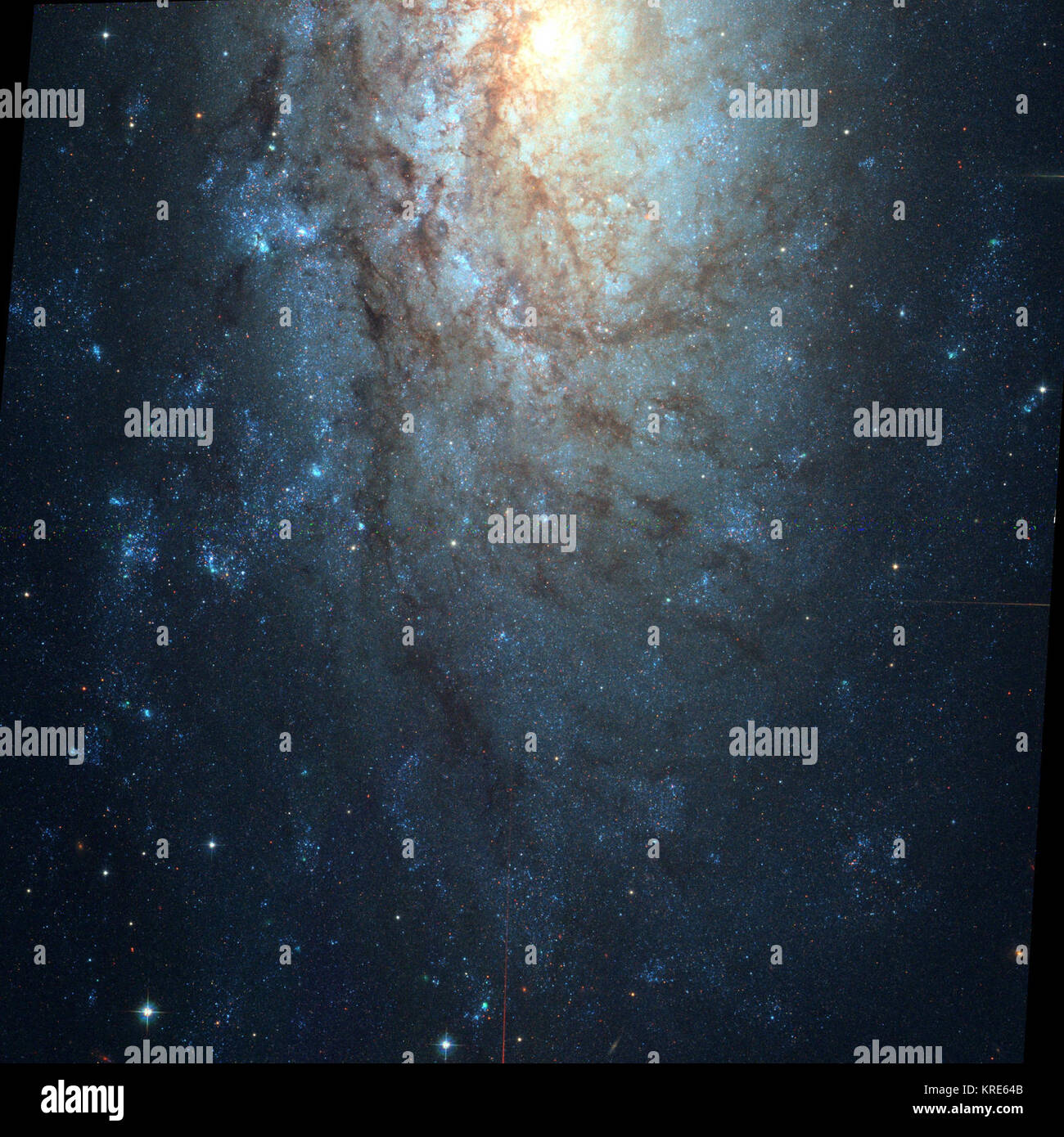 NGC 3621 Hubble WikiSky Stock Photo