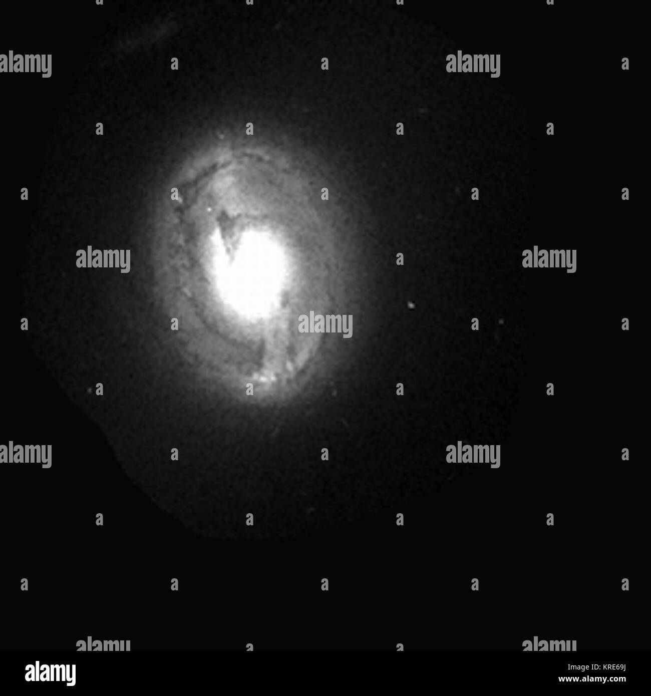 NGC 3081 HST Stock Photo Alamy