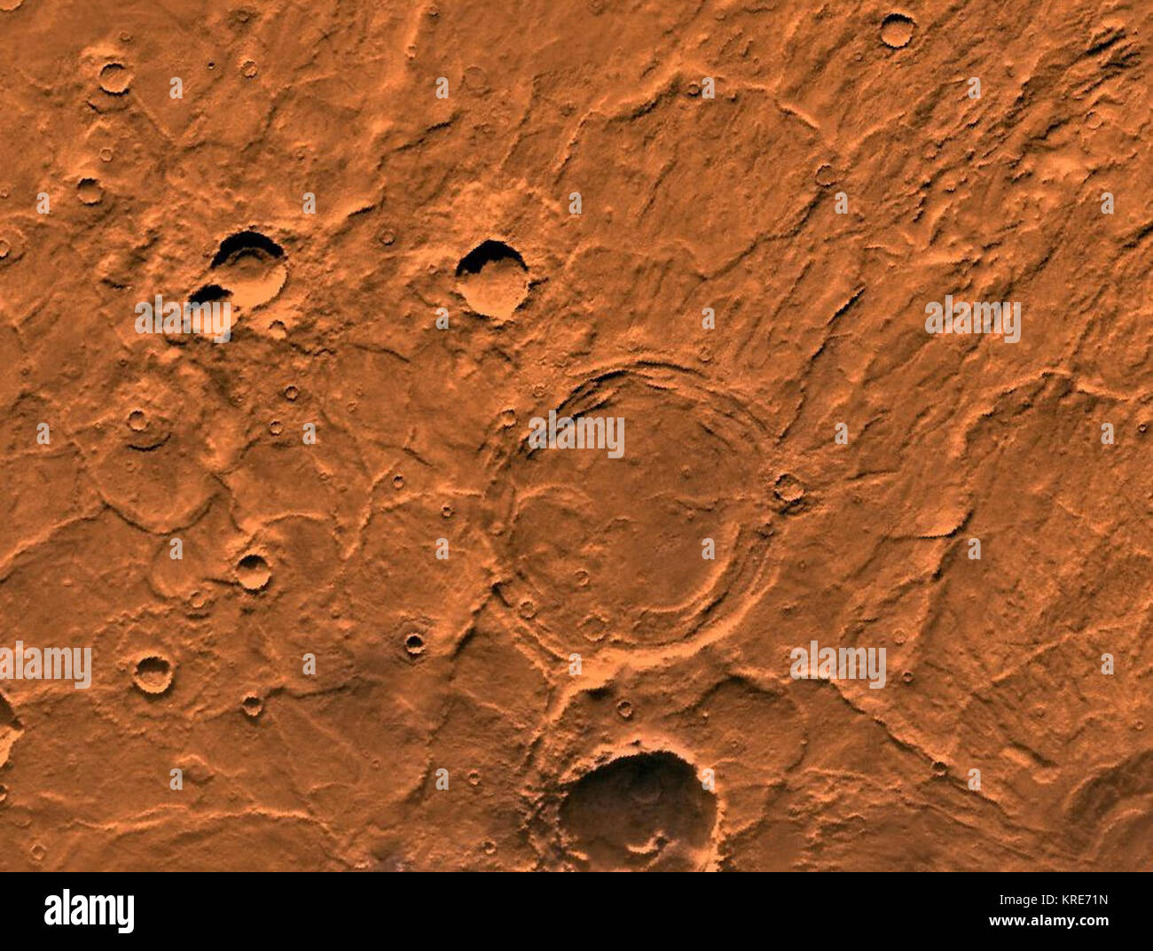 Peneus Patera Stock Photo Alamy