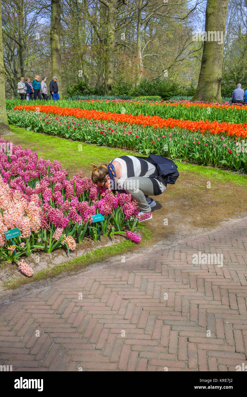 Woman bending over and smelling the fragrant flowers at the Keukenhof