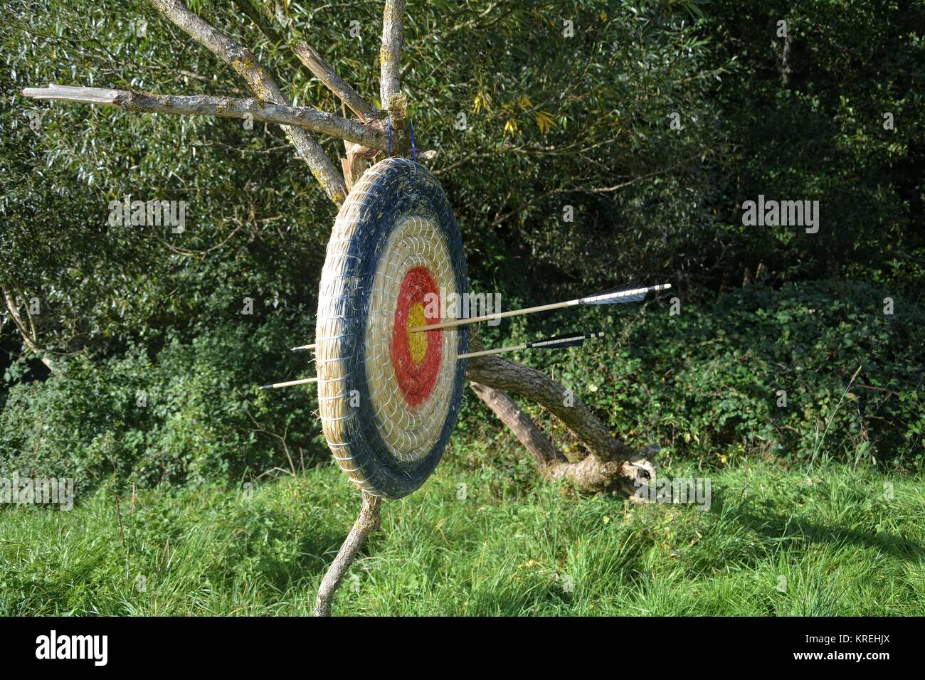 target of straw hanging on branch with old by scoring arrows Stock