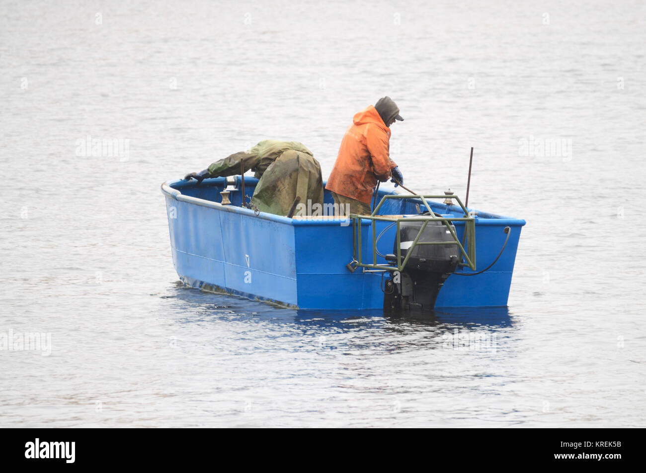 Opened the fishing season.Is industrial catch of smelt Stock Photo - Alamy