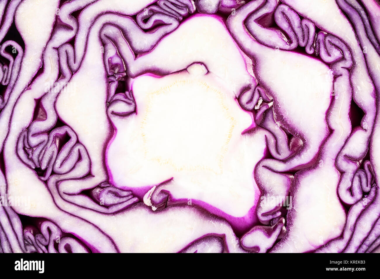 Background of cut red cabbage, abstraction Stock Photo - Alamy