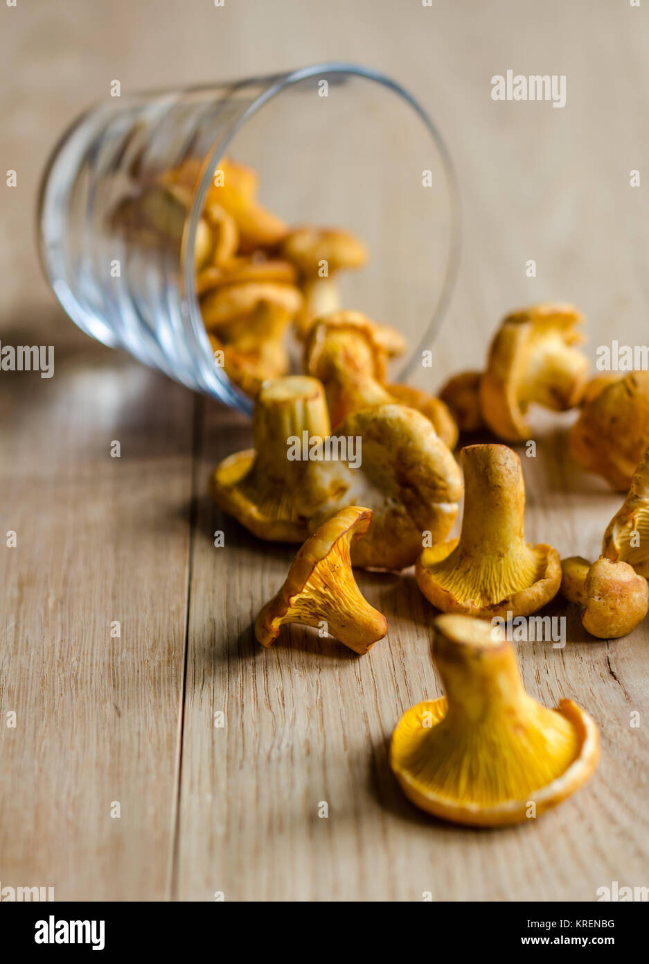 Black chanterelle cap hires stock photography and images Alamy