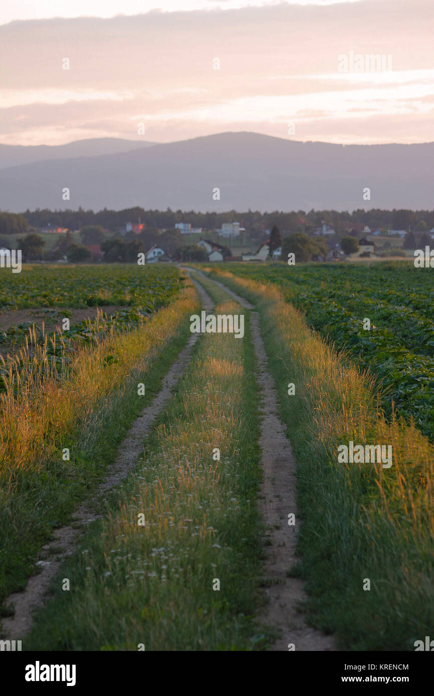 dirt road in the evening red Stock Photo - Alamy