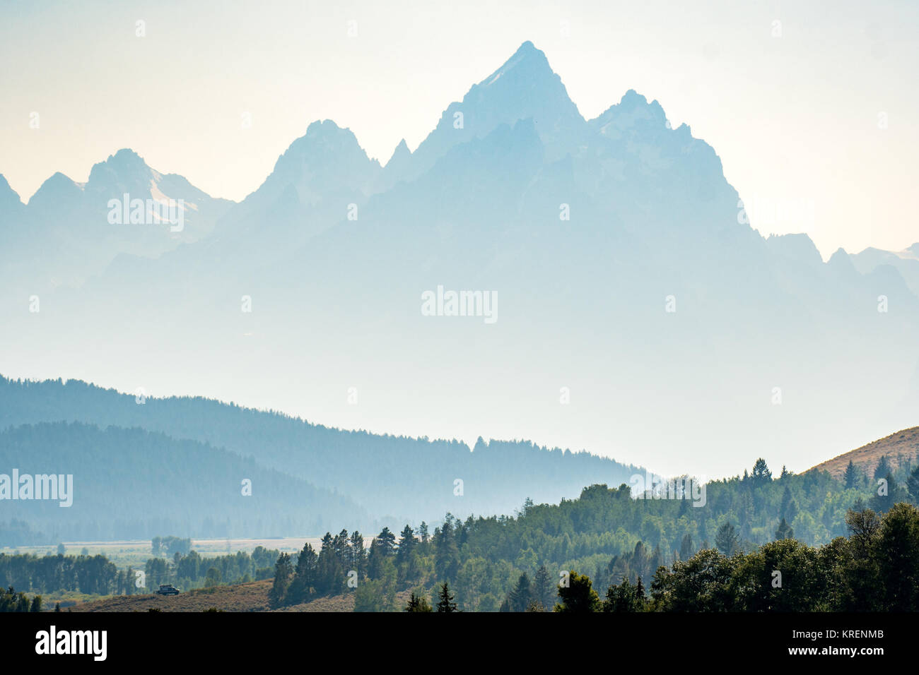 Fog falls over the forest and Teton Mountain Range, Grand Tetons