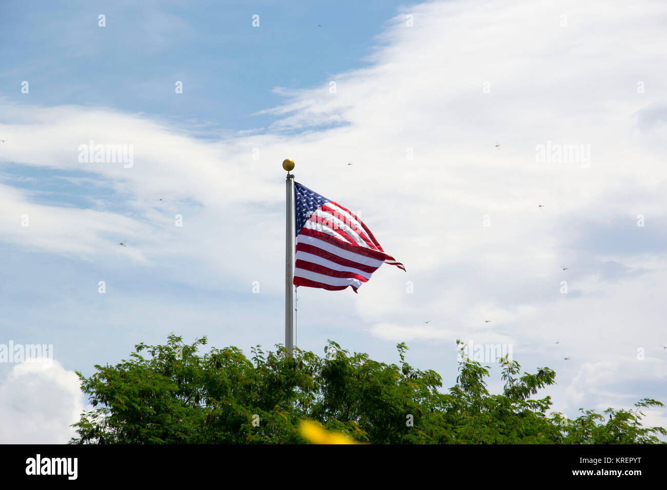 USA Flagge Stock Photo