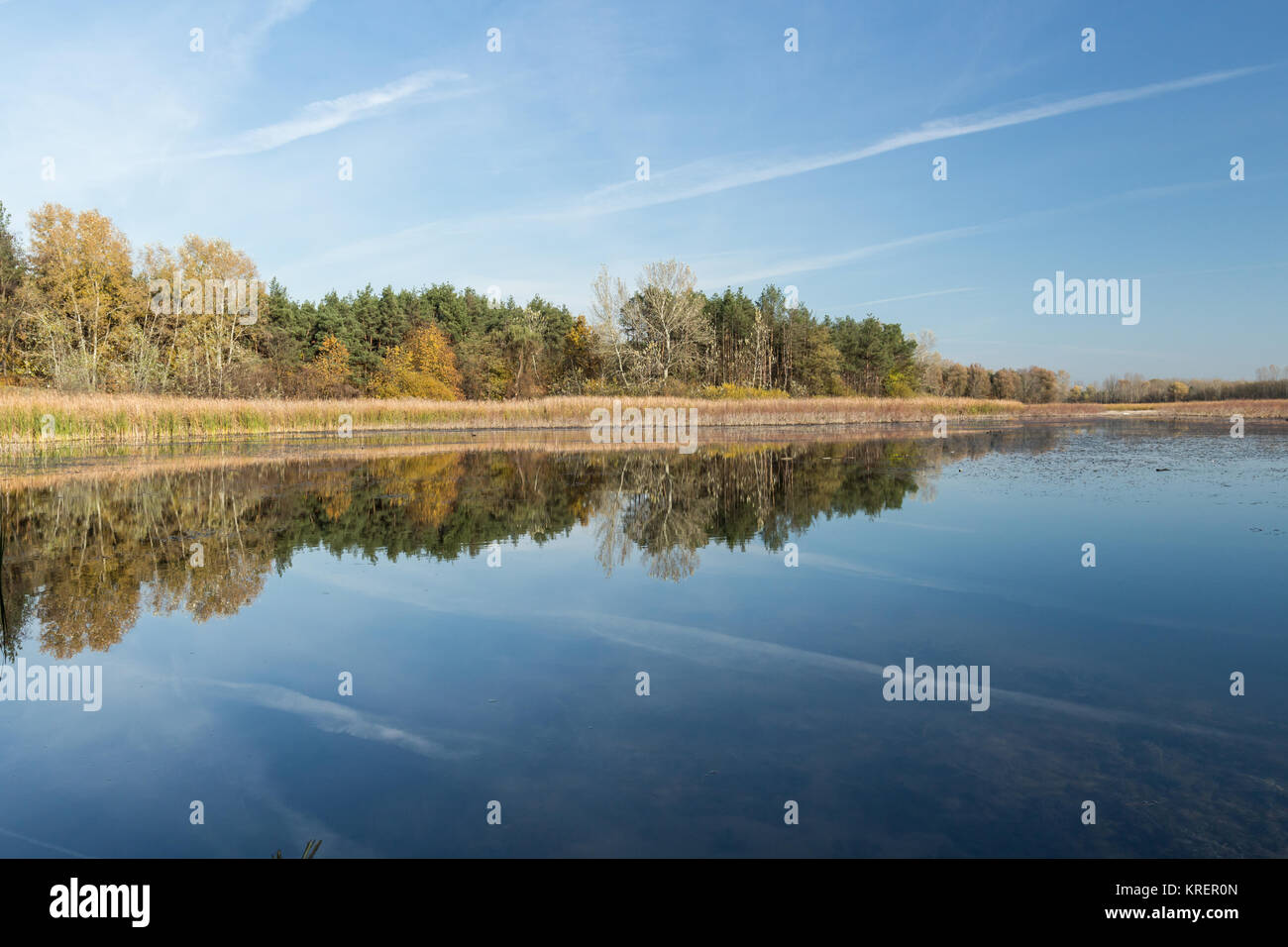 Lake in the depths of the forest, autumn reflection Stock Photo - Alamy