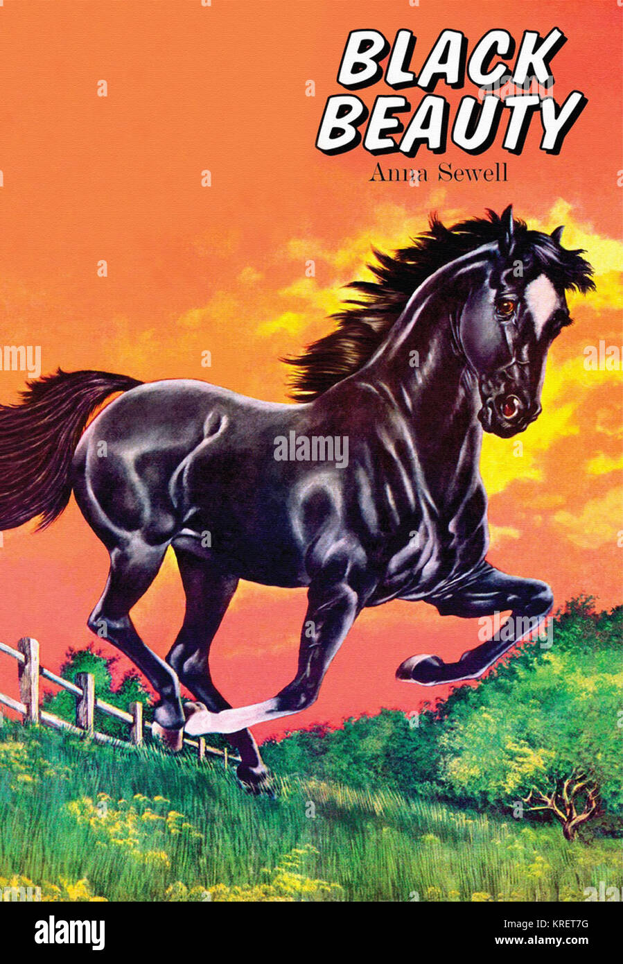 Black beauty book cover hi-res stock photography and images - Alamy