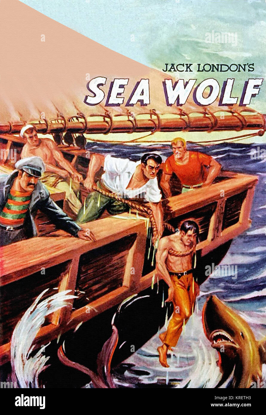 Sea Wolf Stock Photo