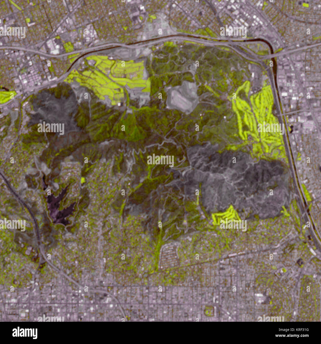 Aftermath of Griffith Park Fire Stock Photo - Alamy