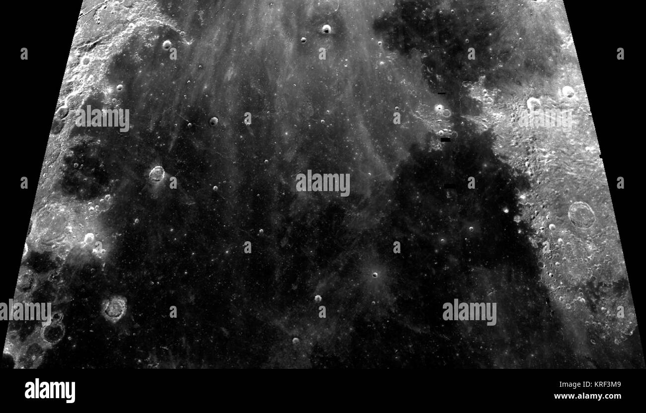 Sinus roris hires stock photography and images Alamy