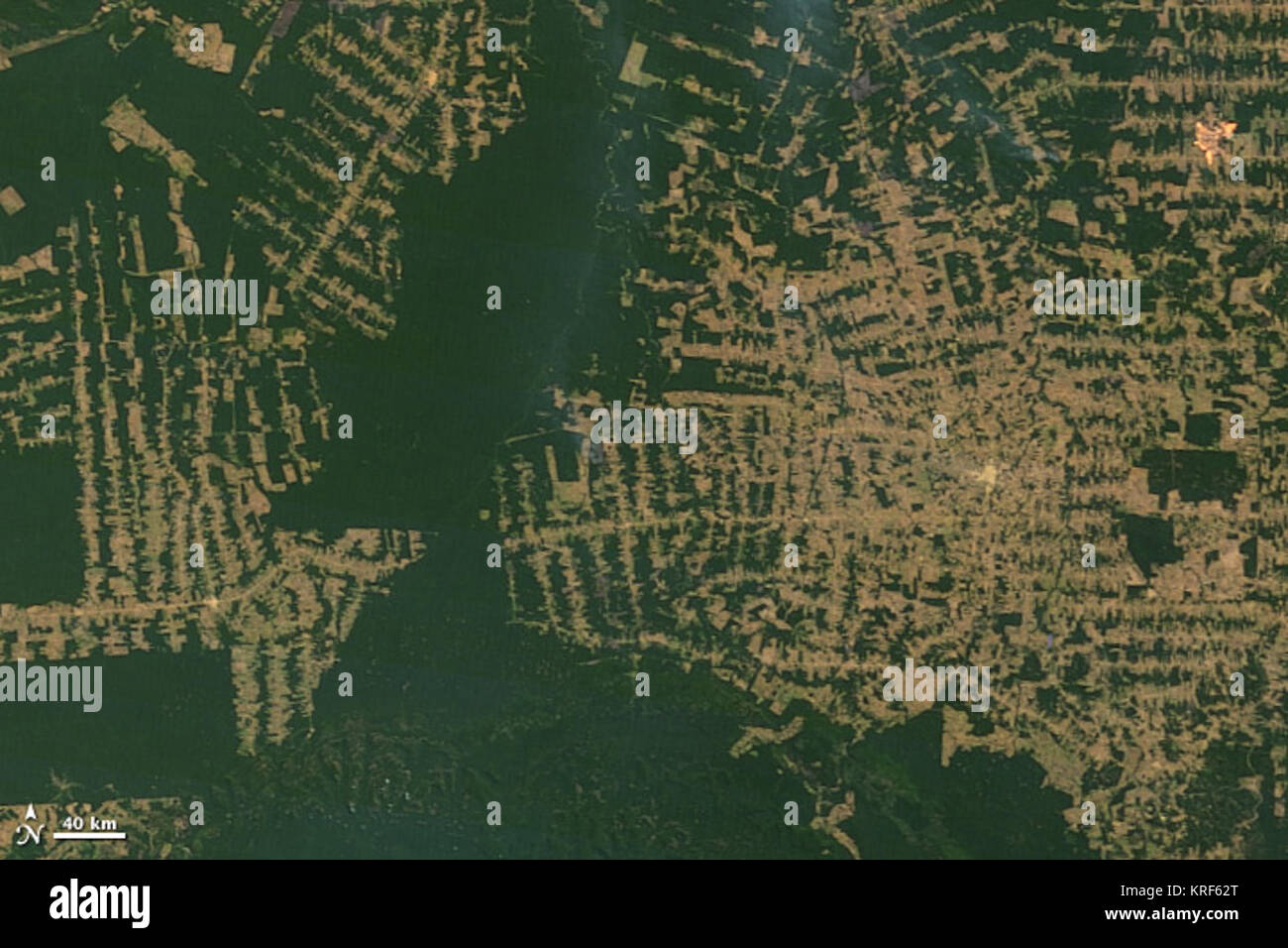 Amazon deforestation 2010214 Stock Photo Alamy