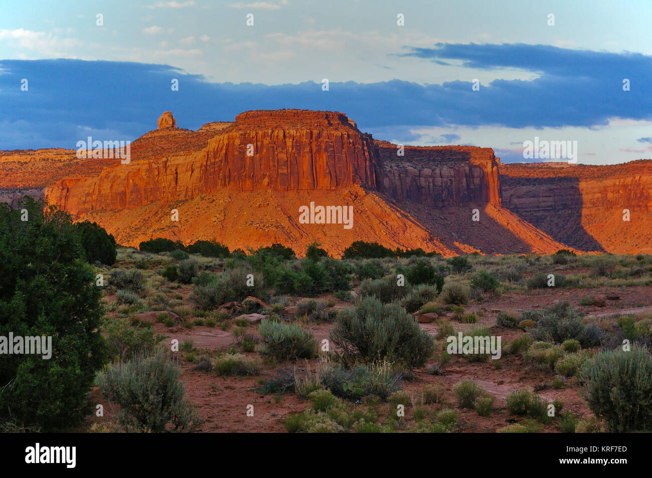 Large red mesa lit by the evening sun with various desert plants in the foreground Stock Photo