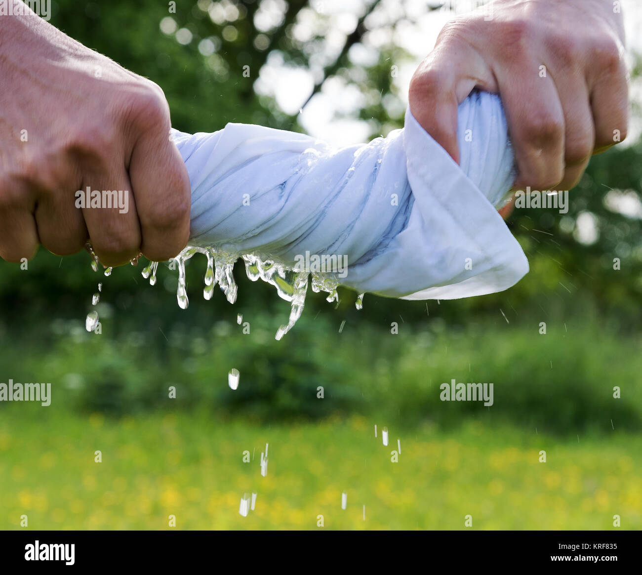 Hands squeeze wet cloth Stock Photo 169366041 Alamy