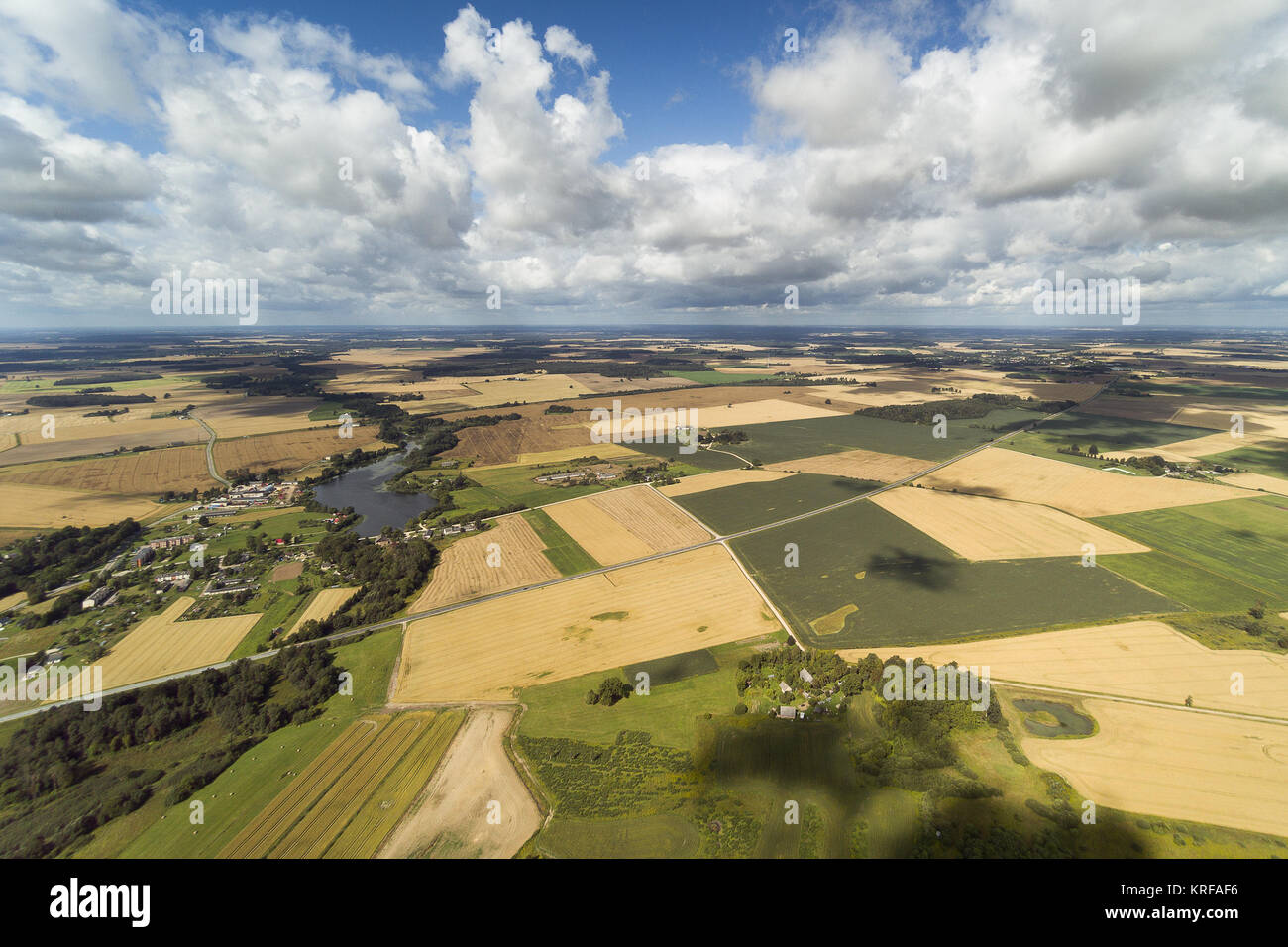 Ripe grain fields in latvian countryside, Semigallia region. Stock Photo