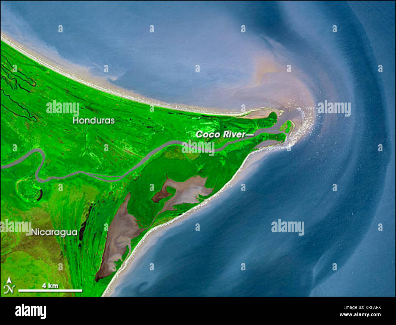 The mosquito coast hi-res stock photography and images - Alamy