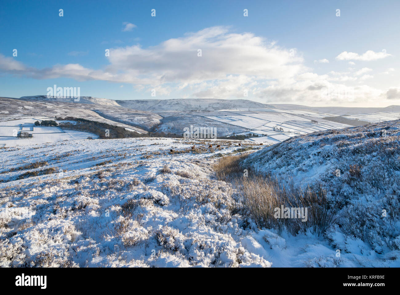 Beautiful winter morning in the High Peak. View to Kinder Scout from