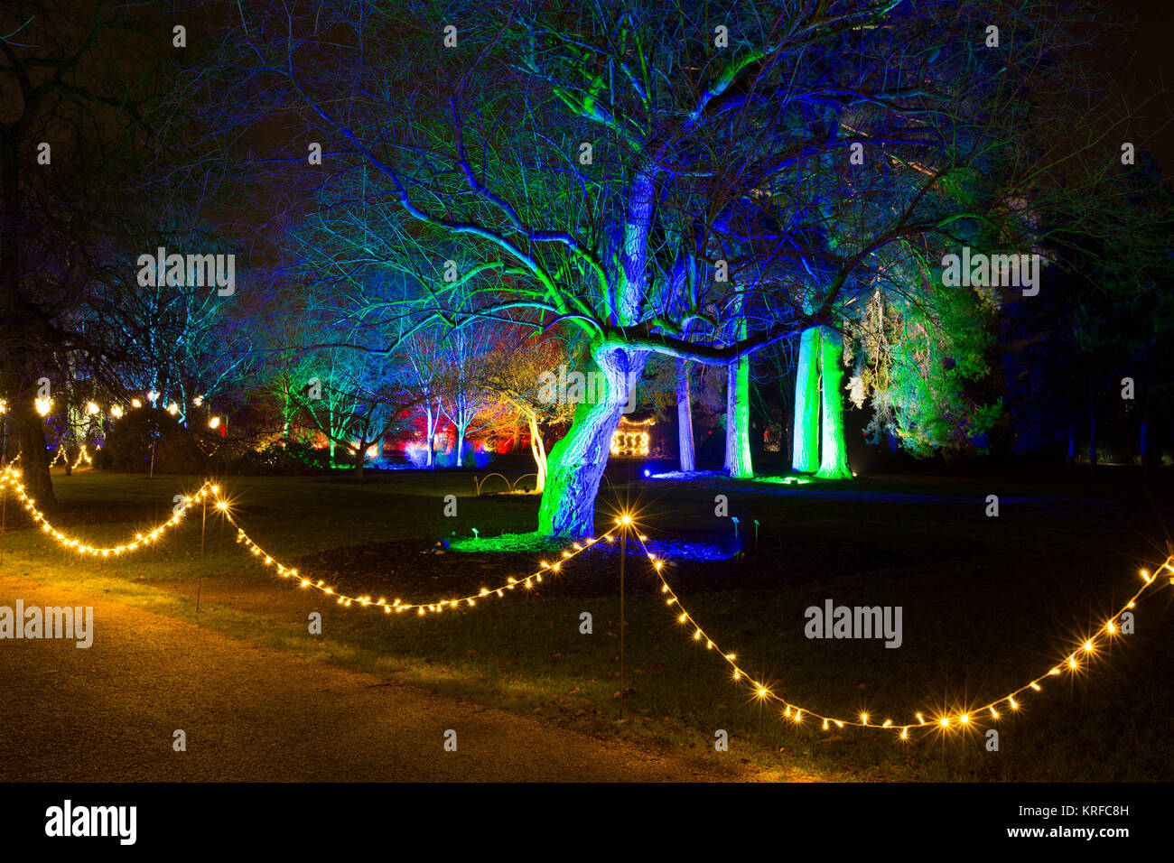 Surrey, UK. 19th December, 2017. Royal Horticultural Society Wisley's magical Christmas Glow event, Surrey, England, UK. 19th Dec, 2017. RHS Wisley sparkles this festive season as part of its Christmas Glow event. One of the best gardens in the world has beautifully lit its gardens with floral lights and installations for Christmas. Credit: Jeff Gilbert/Alamy Live News Stock Photo