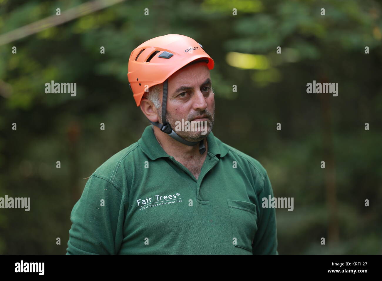 Pinecone picker Paata Kobachidse looking at the camera in the Racha