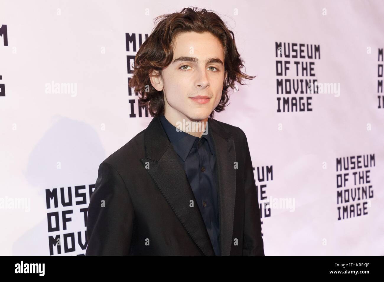 Timothee Chalamet at arrivals for Museum Of The Moving Image Salute To Annette Bening, 583 Park Avenue, New York, NY December 13, 2017. Photo By: Jason Smith/Everett Collection Stock Photo