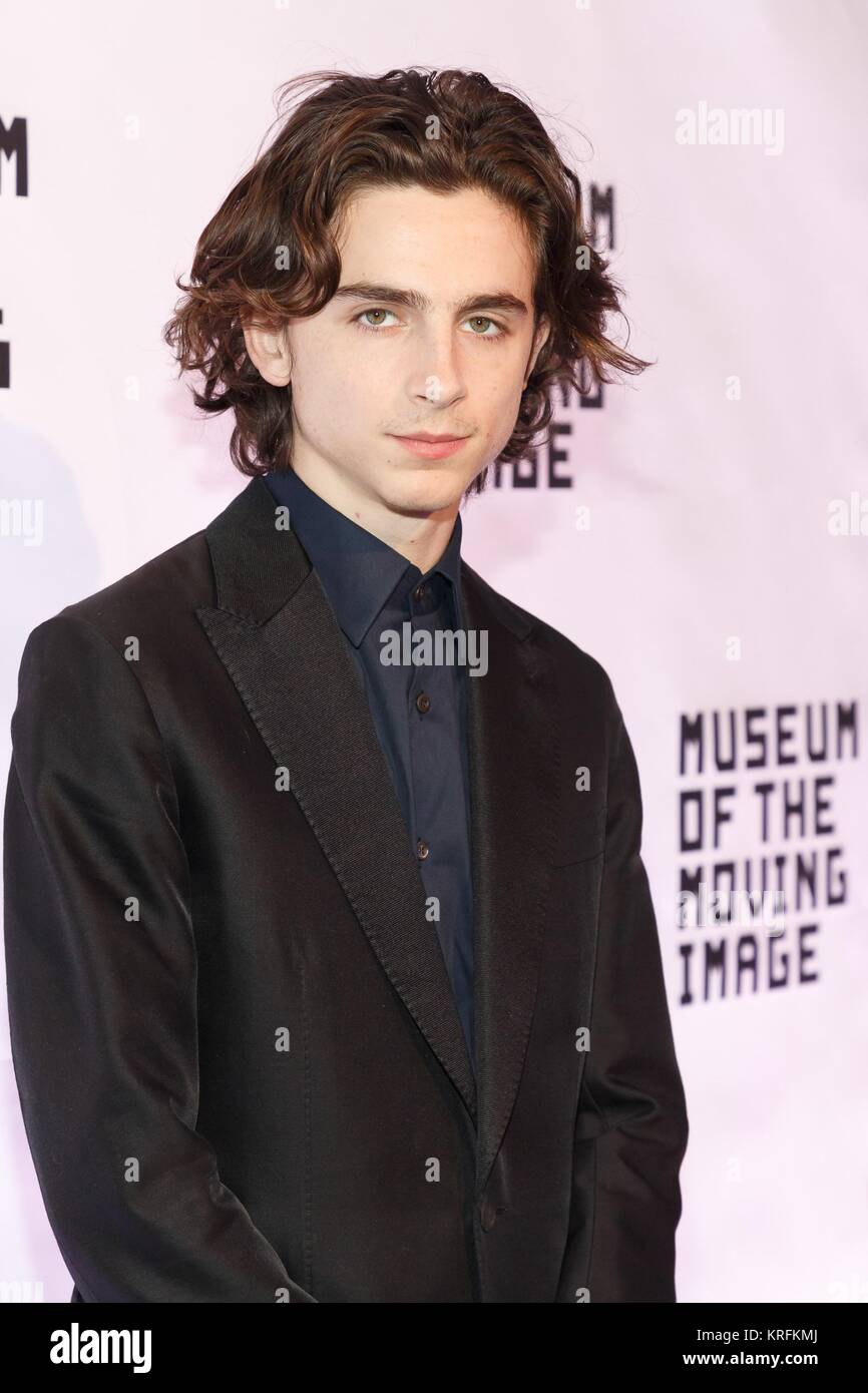 Timothee Chalamet at arrivals for Museum Of The Moving Image Salute To Annette Bening, 583 Park Avenue, New York, NY December 13, 2017. Photo By: Jason Smith/Everett Collection Stock Photo
