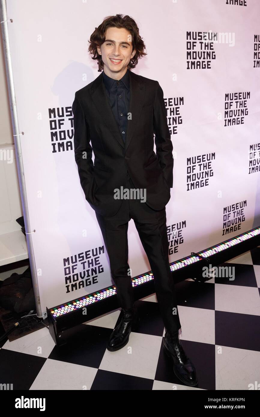 Timothee Chalamet at arrivals for Museum Of The Moving Image Salute To Annette Bening, 583 Park Avenue, New York, NY December 13, 2017. Photo By: Jason Smith/Everett Collection Stock Photo