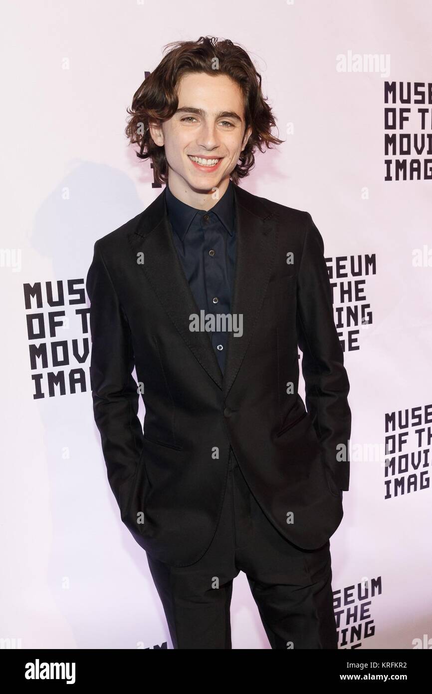 Timothee Chalamet at arrivals for Museum Of The Moving Image Salute To Annette Bening, 583 Park Avenue, New York, NY December 13, 2017. Photo By: Jason Smith/Everett Collection Stock Photo