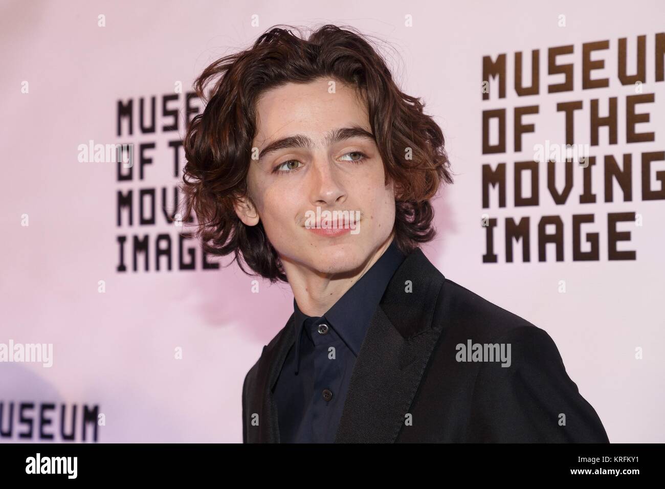 Timothee Chalamet at arrivals for Museum Of The Moving Image Salute To Annette Bening, 583 Park Avenue, New York, NY December 13, 2017. Photo By: Jason Smith/Everett Collection Stock Photo