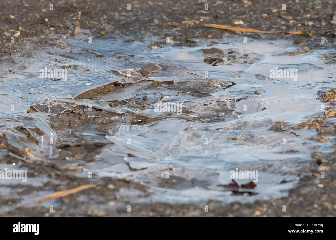 Frozen puddle on ground hires stock photography and images Alamy