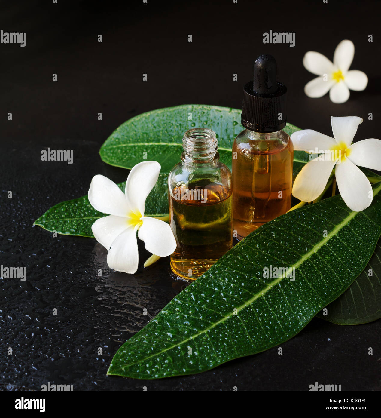 small glass jars with oil and Frangipani Plumeria patchouli flowers for spa treatments on a black background, selective focus Stock Photo