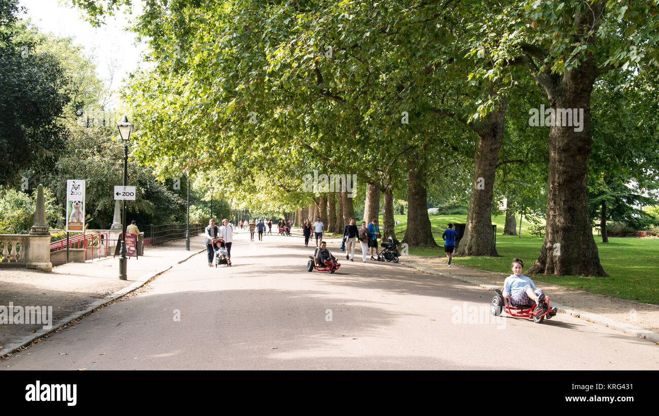People riding recumbents trike bikes or walking along the pedestrian avenue enjoying the good weather in Battersea Park, London, UK Stock Photo