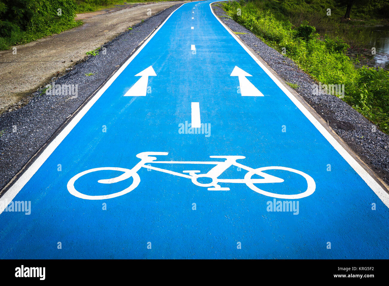 Blue bicycle symbol lane Stock Photo Alamy