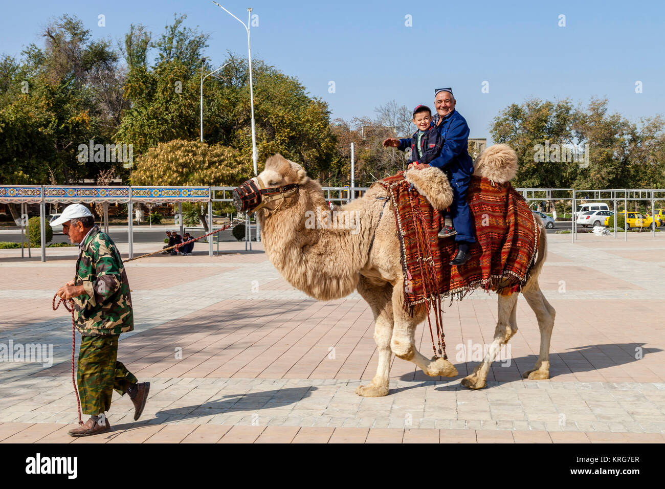 Boy riding camel hi-res stock photography and images - Alamy