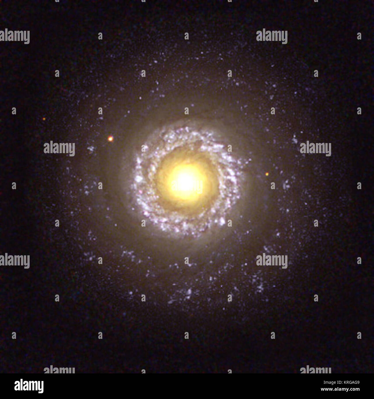 Seyfert Galaxy NGC 7742 Stock Photo - Alamy