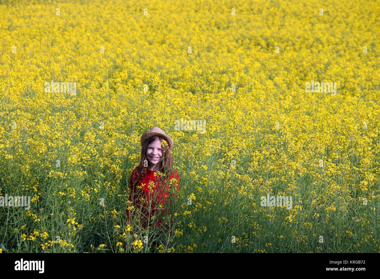 happy little girl on yellow field spring season Stock Photo - Alamy