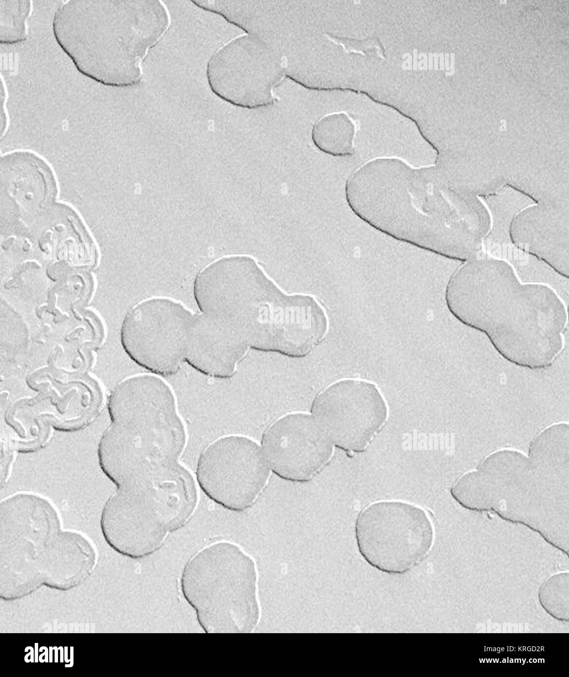 Swiss Cheese Layers Stock Photo Alamy