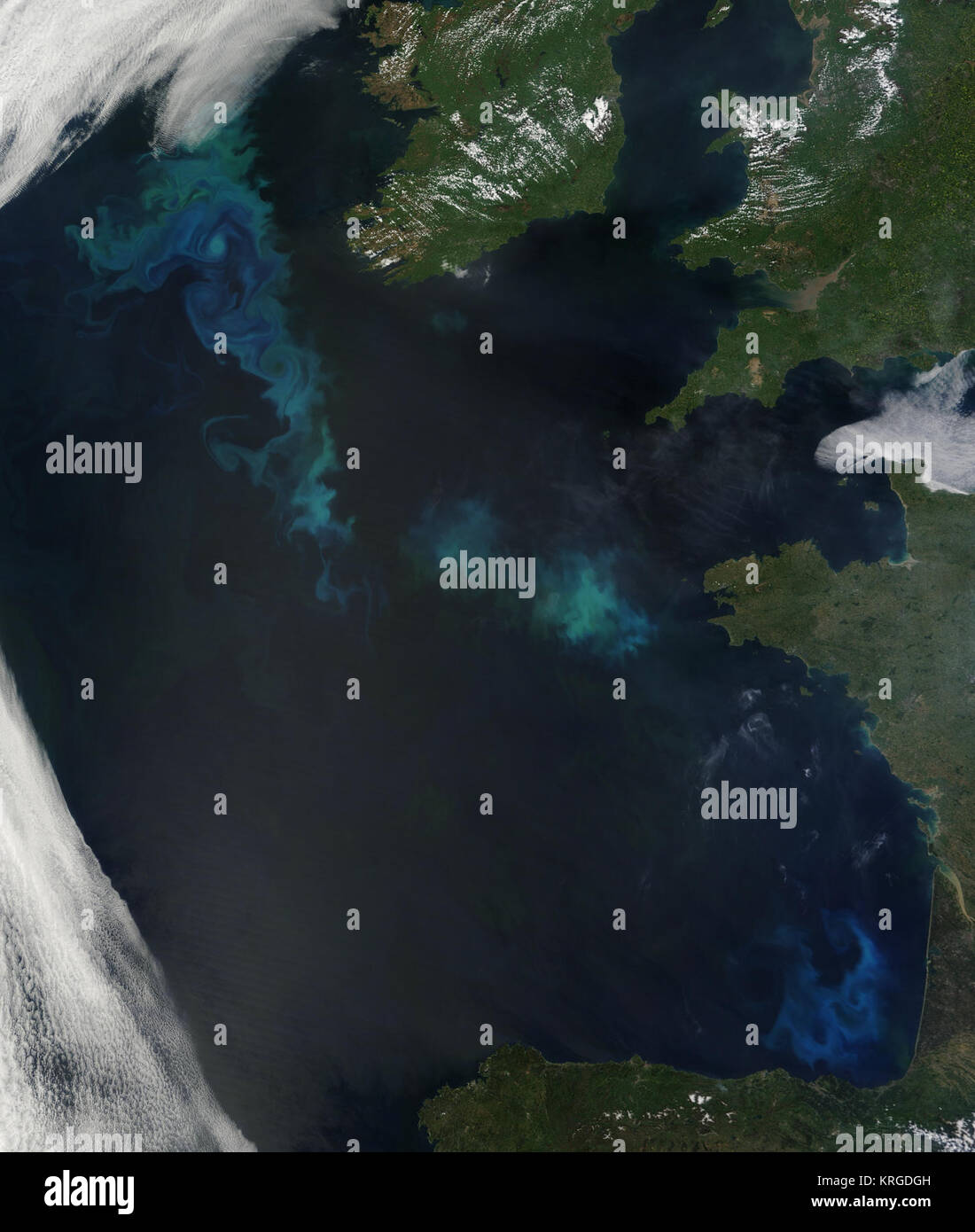 Phytoplankton Bloom in the North Atlantic Stock Photo