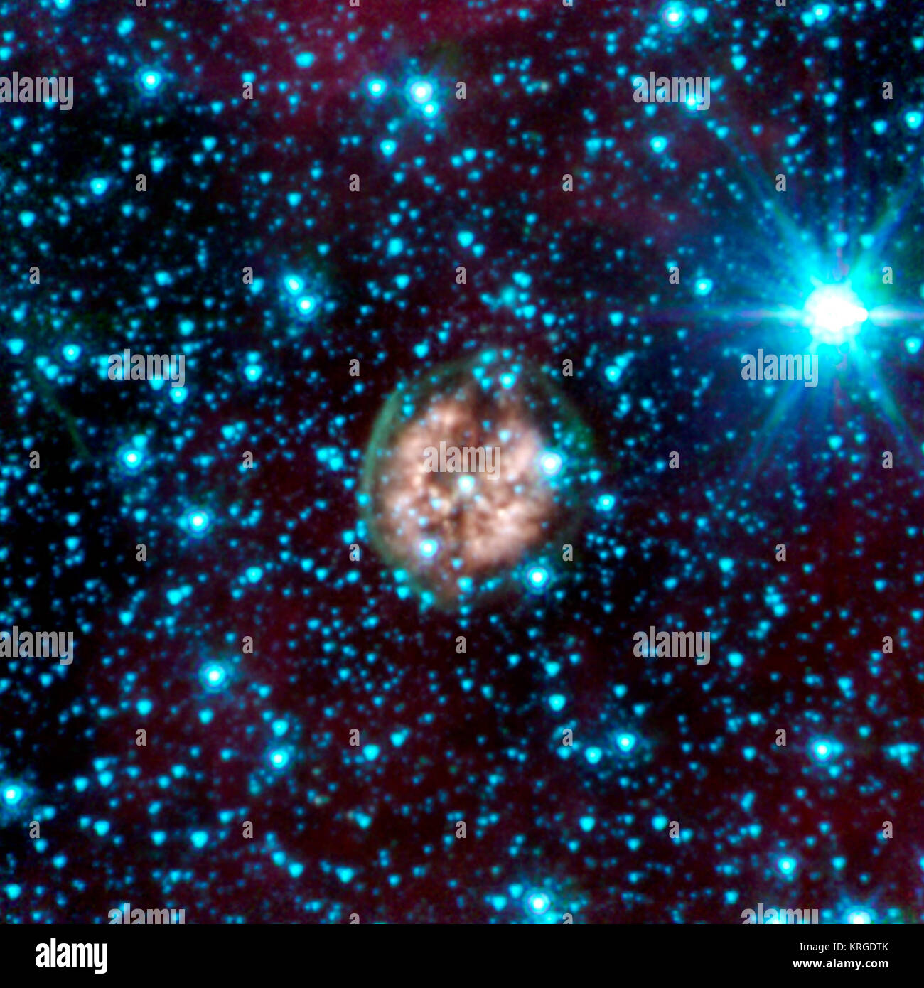 The brain-like orb called PMR 1 has been nicknamed the 'Exposed Cranium' nebula by Spitzer scientists. This planetary nebula, located roughly 5,000 light-years away in the Vela constellation, is host to a hot, massive dying star that is rapidly disintegrating, losing its mass. The nebula's insides, which appear mushy and red in this view, are made up primarily of ionized gas, while the outer green shell is cooler, consisting of glowing hydrogen molecules.  In this image, infrared light at wavelengths of 3.6 microns is rendered in blue, 4.5 microns in green, and 8.0 microns in red. Exposed Cran Stock Photo