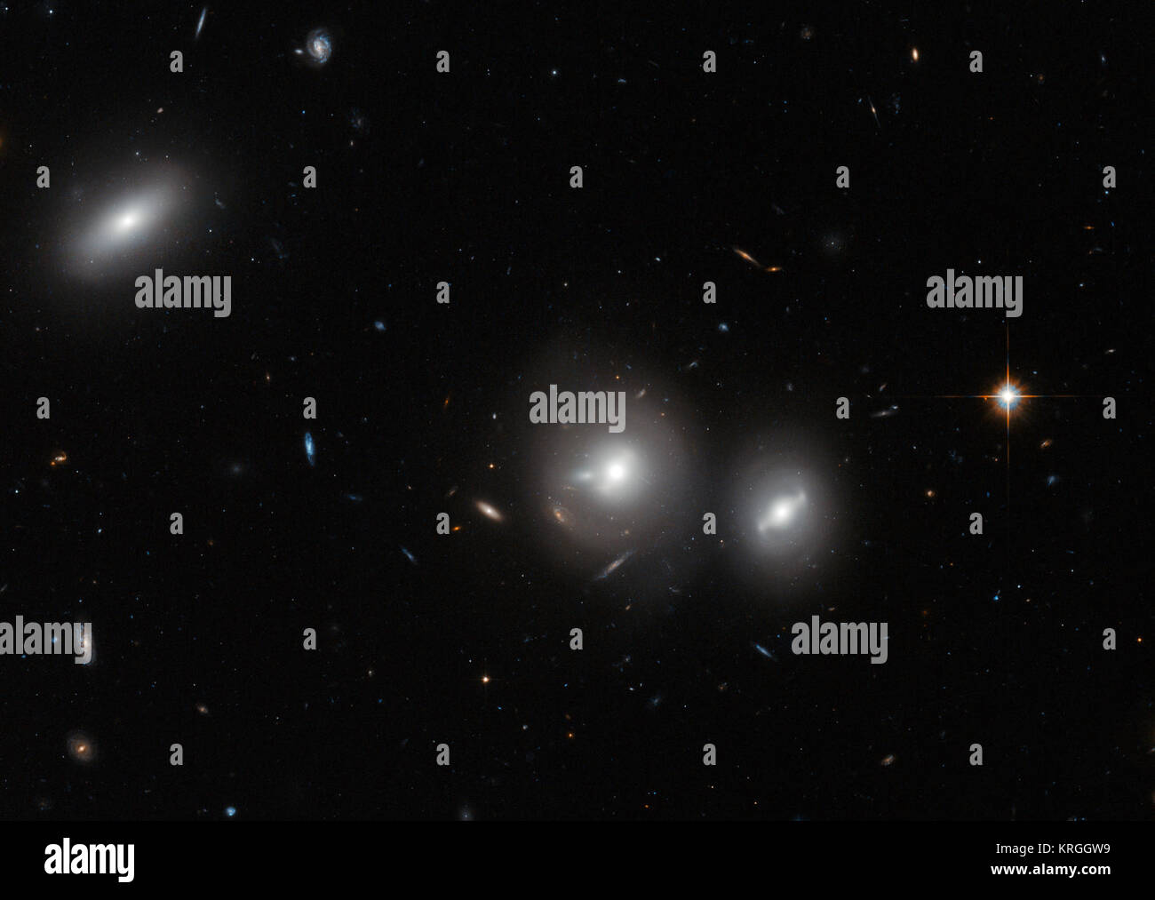 In this new image Hubble peeks into the Coma Cluster, a massive gathering of galaxies located towards the constellation of Coma Berenices. This large cluster is around 350 million light-years away from us and contains over 1000 identified galaxies, the majority of which are elliptical. The bright, saucer-shaped objects surrounded by misty halos in this image are galaxies, each of them host to many millions of stars. The background of the image is full of distant galaxies, many of them with spiral shapes, that are located much further away and do not belong to the cluster. Visible in this image Stock Photo