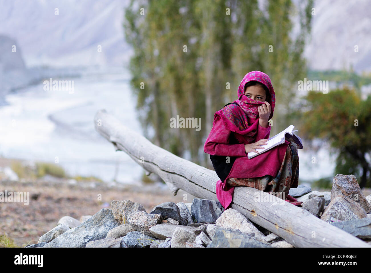 A young balti girl sitting on a branch and covering her face with a colorful scarf, Turtuk, Nubra valley, Ladakh, Jammu and Kashmir, India. Stock Photo