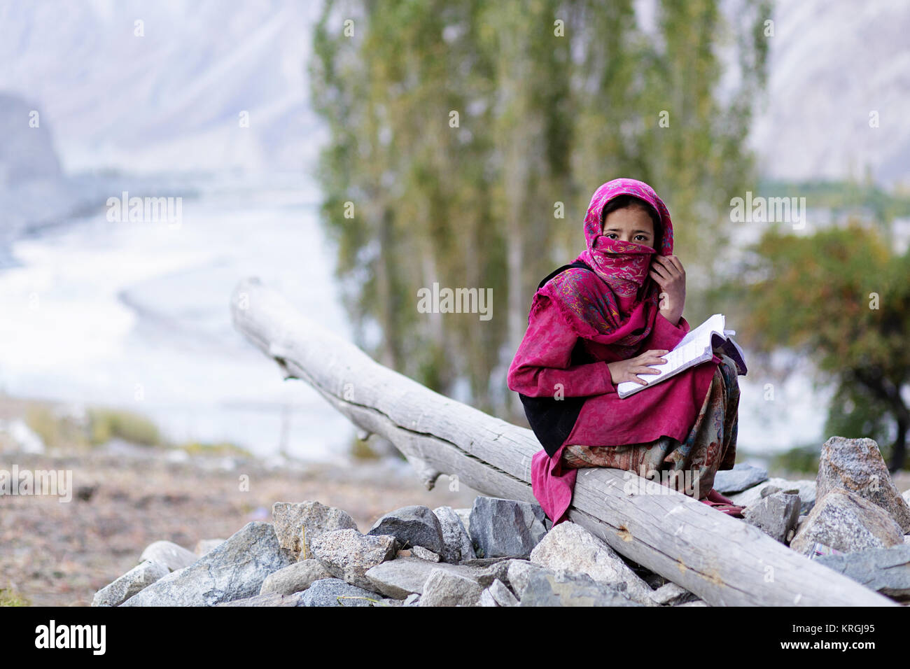 A young balti girl sitting on a branch and covering her face with a colorful scarf, Turtuk, Nubra valley, Ladakh, Jammu and Kashmir, India. Stock Photo