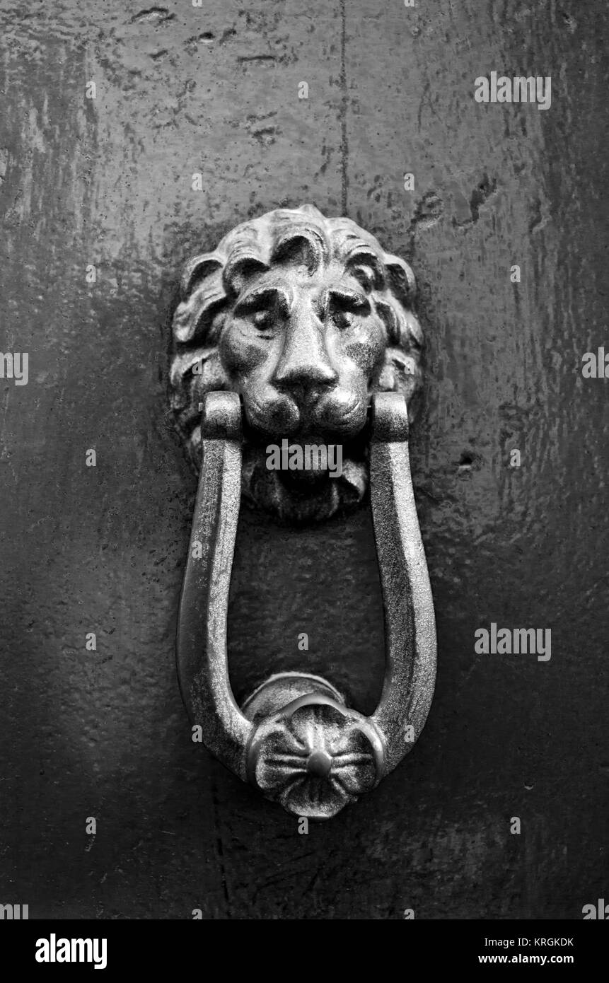 knocker in metal lion's head on old wooden door, black and white Stock Photo
