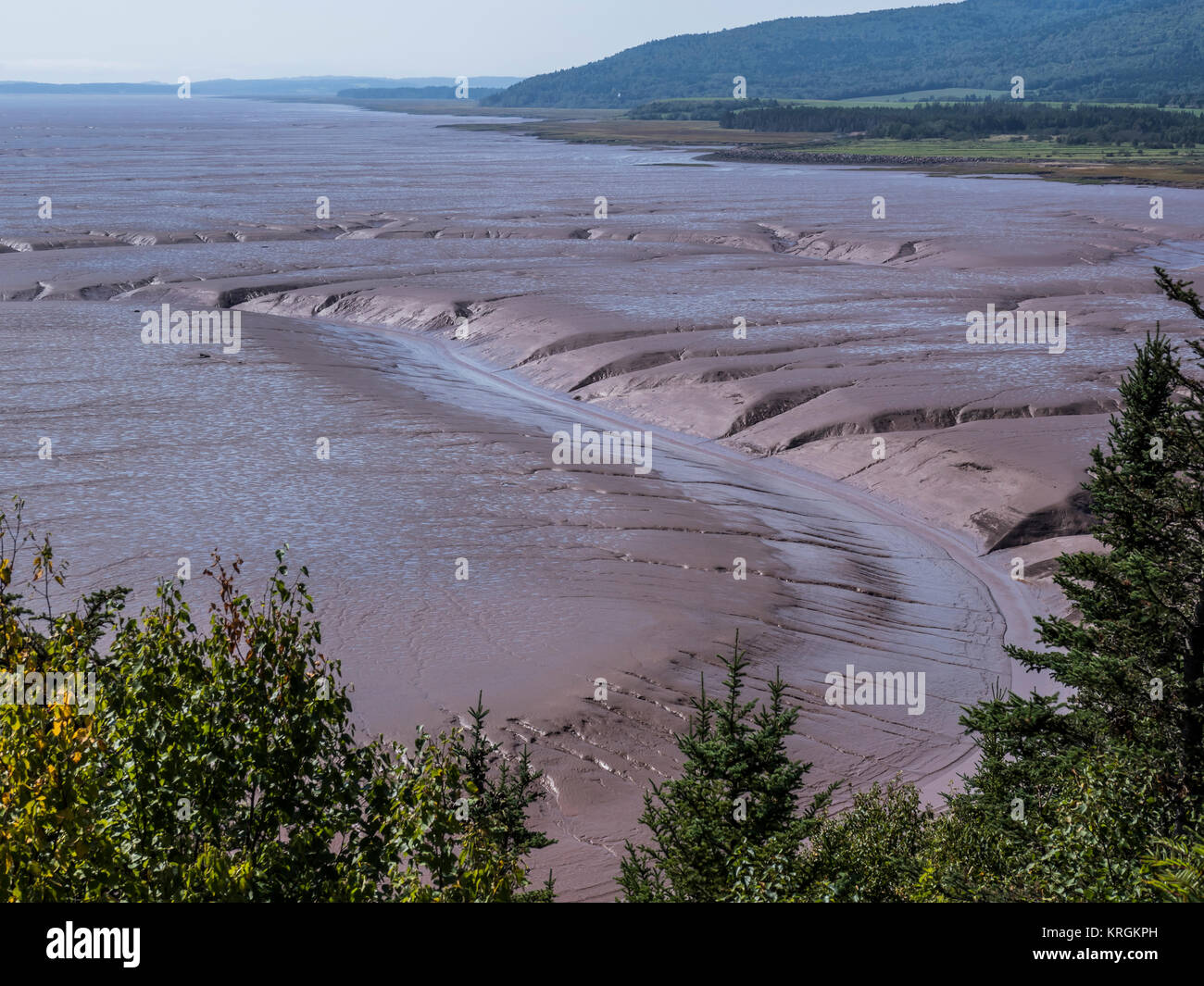 Daniel's Flats with the tide out, Hopewell Rocks, Bay of Fundy, New